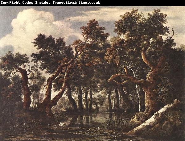 Jacob van Ruisdael The Marsh in a Forest